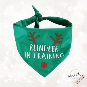 Wild-Pawz-Pet-Store-Product-image_Green_Reindeer_Bandana